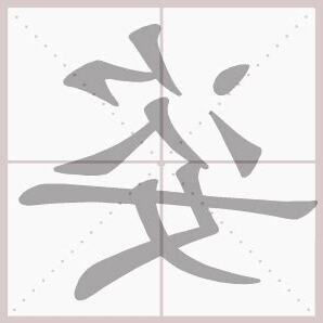 姿 意思